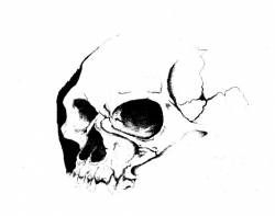 Satifer : No One - Nothing